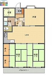 アールグレイマンション岩屋 4階/-