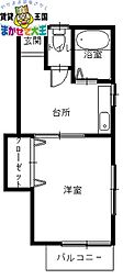🉐敷金礼金0円！🉐ハイツピッコリーノ