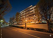 並木道の緑に彩られた、穏やかな低層レジデンス（背景はCGとなります）