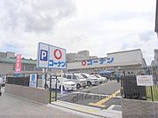 コーナン　かどの四条外大前店まで480メートル