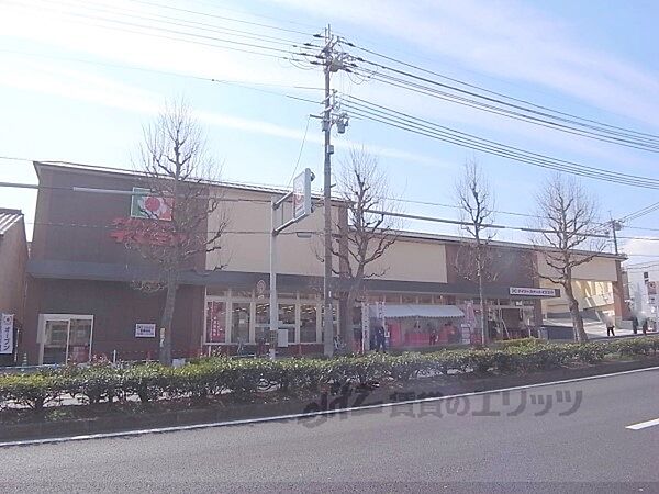 画像23:イズミヤ　千本北大路店まで400メートル