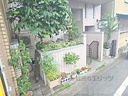 植栽