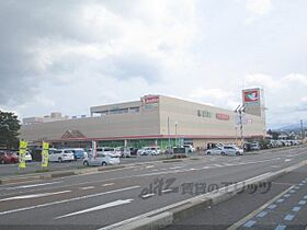 滋賀県高島市今津町舟橋２丁目（賃貸アパート1LDK・1階・48.18㎡） その22