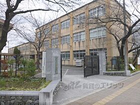 シャーメゾン洛南八条 102 ｜ 京都府京都市南区西九条藤ノ木町（賃貸アパート1LDK・1階・51.74㎡） その8