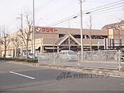 マツモト　上桂店まで730メートル