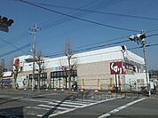 スギ薬局　山科椥辻店まで800メートル