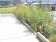 共用部