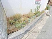 植栽
