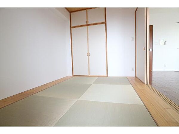 画像13:柔らかい畳が心地よい和室