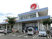 マルナカ 和泉店（584m）