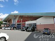 マルナカ 中央通り店（354m）