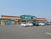 あんくる夢市場(1、900m)