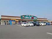 あんくる夢市場(1、000m)