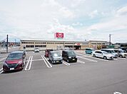 アスタラビスタ(250m)