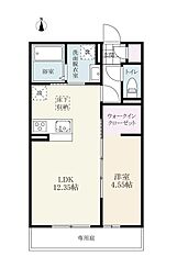 グレイスペアランス