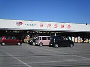 シバタ薬品 367m