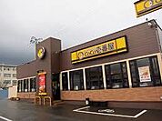 CoCo壱番屋宇都宮西原店 555m