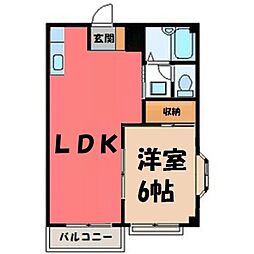 ニューエルディム島崎 C棟 2階/-