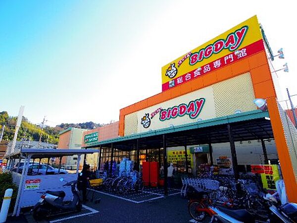 画像25:【スーパー】Every BIGDAY(エブリィ ビッグデー) 昭府店まで678ｍ