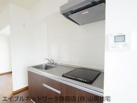 静岡県静岡市葵区日出町（賃貸マンション1R・10階・42.96㎡） その25