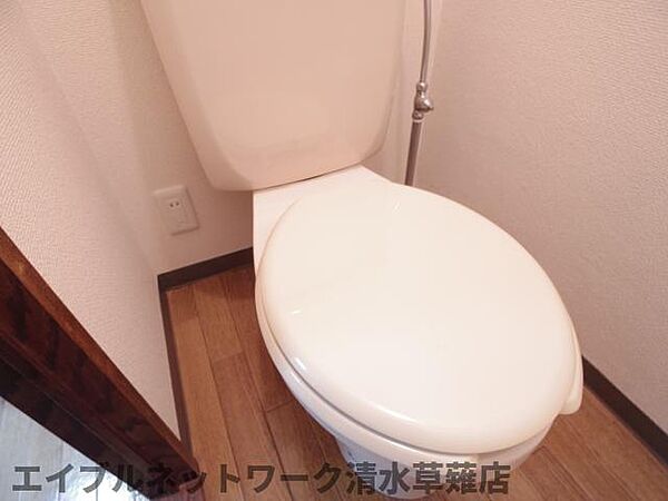 画像26:落ち着いたトイレです