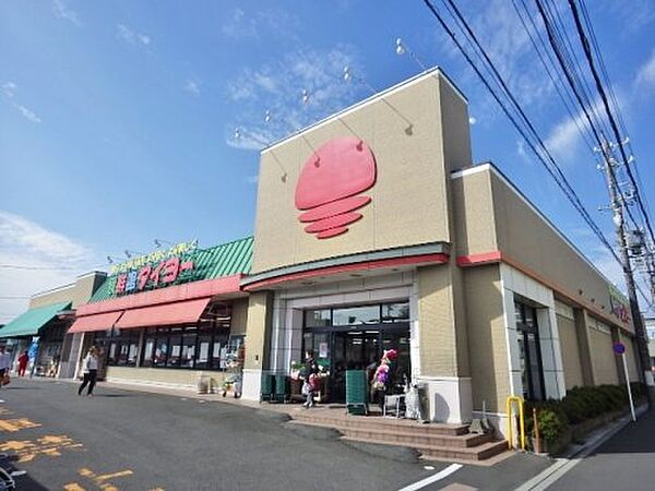 画像21:【スーパー】食鮮館タイヨー 二の丸店まで731ｍ