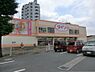 周辺：【生活雑貨店】ザ・ダイソー狭山広瀬店まで1700ｍ