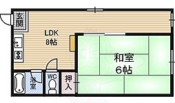 フラッグス肥後橋 5階/-