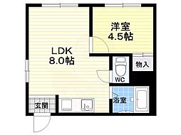 フラッグス肥後橋 4階/-