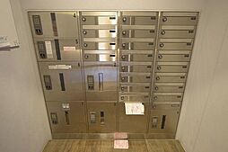GLUCKMAISON/S-EBIE XI