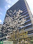 東京都品川区西五反田3丁目9-1：物件画像／株式会社タウンハウジング東京　蒲田店