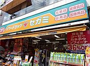 （参考）セガミ薬局 421m