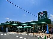 サントク 300m