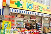 どらっぐぱぱす綾瀬店 徒歩7分。ドラックストア 550m