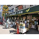 ザ・ダイソーココスナカムラ入谷店 徒歩10分。その他小売店 790m