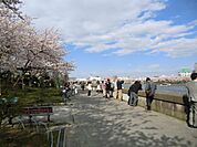 隅田川リバーサイド 600m