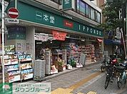 ドラッグストア一本堂入谷店 902m