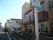 ライフ東向島店 898m