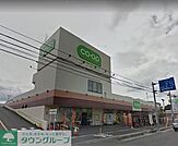 コープ浦和東店 徒歩10分。徒歩8分。スーパー 800m