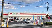 くすりのレディ堂本店　約1600ｍ