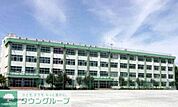江戸川区立南葛西第二中学校 徒歩11分。中学校 850m