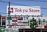 周辺：東急ストア金町店 徒歩13分。 970m