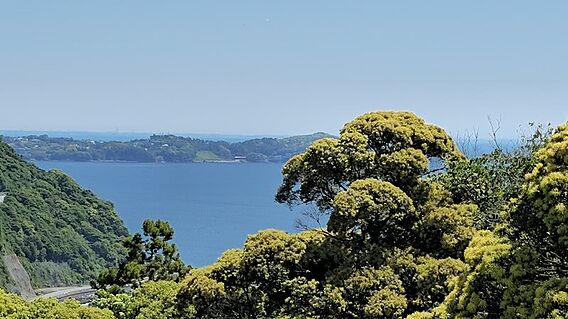 海に浮かぶ真鶴...