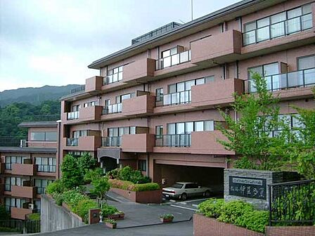 長閑な伊豆多賀の山々と穏やかな網代の海を感じる事ができます。