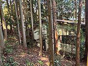 【対象地】山の緑と木々に囲まれたロケーションです。