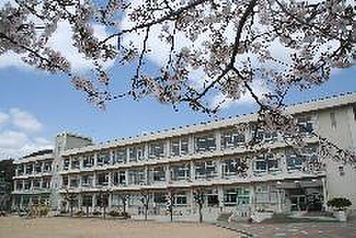 画像24:姫路市立八幡小学校まで1、529ｍ