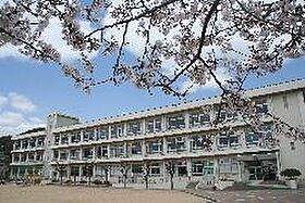 ファンターナ  ｜ 兵庫県姫路市広畑区西蒲田（賃貸アパート1LDK・1階・45.89㎡） その18