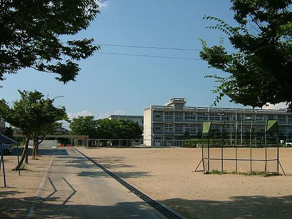 画像24:姫路市立大津小学校まで1、246ｍ