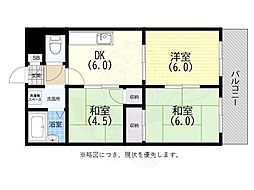 ステラ50 2階/203