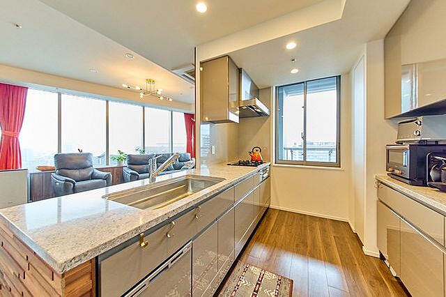 キッチン パークタワー勝どきサウス 51階/-